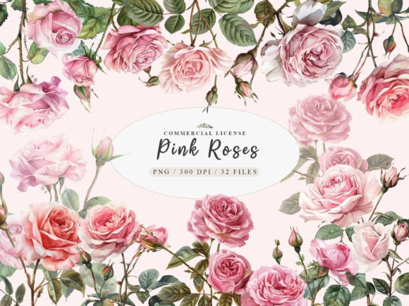 Download Watercolor Pink Rose Clipart, Blush Rose - Rose Collection
