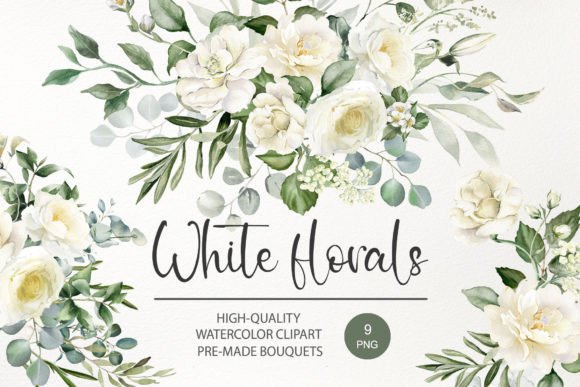 Download Watercolor White Rose Flower Clipart PNG - Premium Bundle