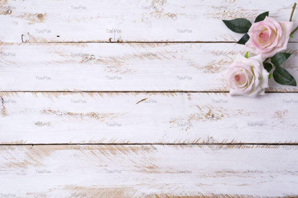 Download Holiday Invitation with Pink Roses - Rose Collection